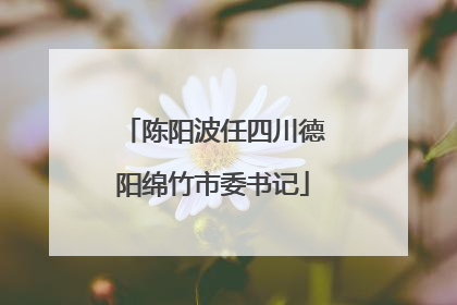 陈阳波任四川德阳绵竹市委书记