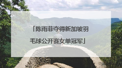 陈雨菲夺得新加坡羽毛球公开赛女单冠军