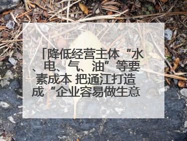 降低经营主体“水、电、气、油”等要素成本 把通江打造成“企业容易做生意的地方”