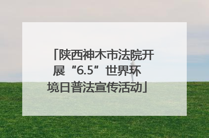 陕西神木市法院开展“6.5”世界环境日普法宣传活动