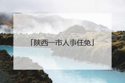 陕西一市人事任免