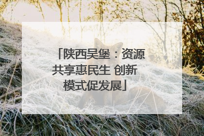 陕西吴堡：资源共享惠民生 创新模式促发展