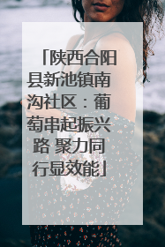 陕西合阳县新池镇南沟社区：葡萄串起振兴路 聚力同行显效能