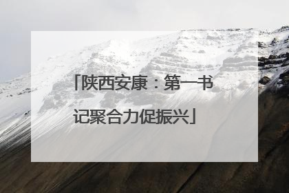 陕西安康：第一书记聚合力促振兴