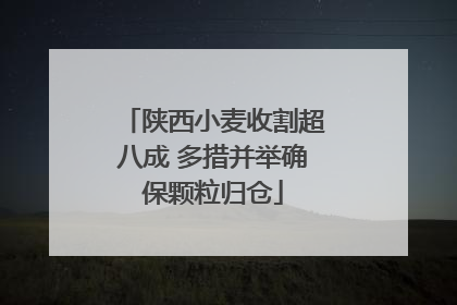 陕西小麦收割超八成 多措并举确保颗粒归仓