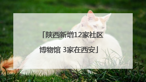 陕西新增12家社区博物馆 3家在西安