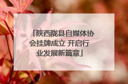 陕西陇县自媒体协会挂牌成立 开启行业发展新篇章