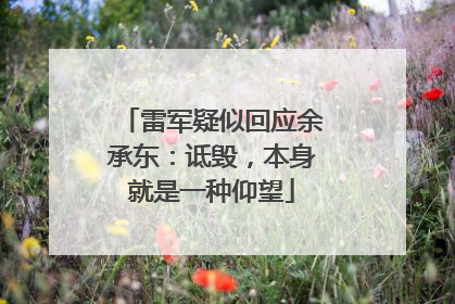雷军疑似回应余承东：诋毁，本身就是一种仰望