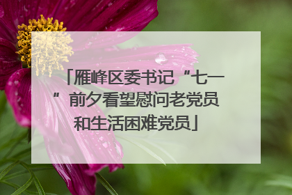 雁峰区委书记“七一”前夕看望慰问老党员和生活困难党员