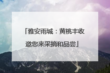 雅安雨城：黄桃丰收 邀您来采摘和品尝