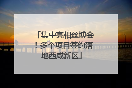 集中亮相丝博会！多个项目签约落地西咸新区