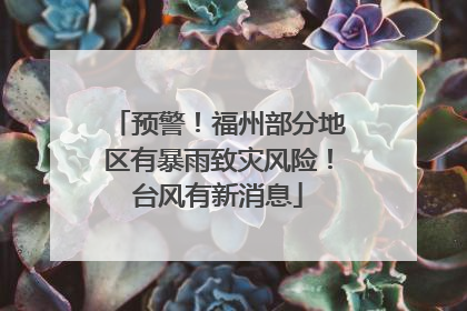 预警！福州部分地区有暴雨致灾风险！台风有新消息