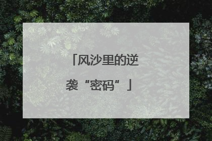 风沙里的逆袭“密码”