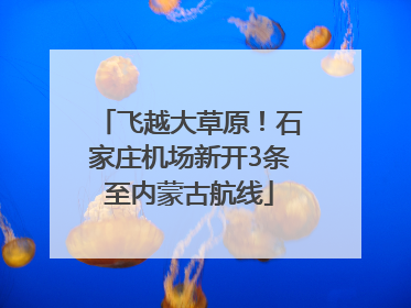 飞越大草原！石家庄机场新开3条至内蒙古航线