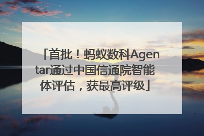 首批！蚂蚁数科Agentar通过中国信通院智能体评估，获最高评级
