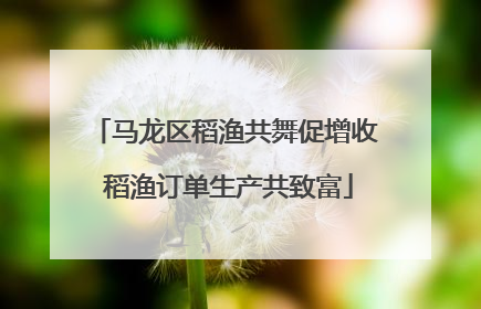 马龙区稻渔共舞促增收 稻渔订单生产共致富