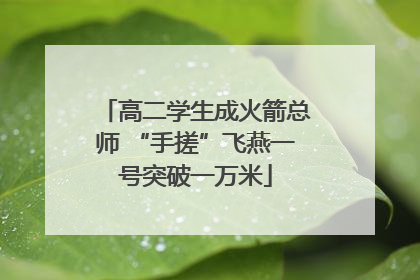 高二学生成火箭总师 “手搓”飞燕一号突破一万米