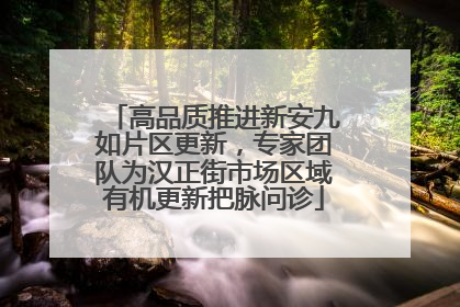 高品质推进新安九如片区更新，专家团队为汉正街市场区域有机更新把脉问诊