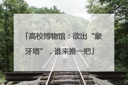 高校博物馆：欲出“象牙塔”，谁来推一把