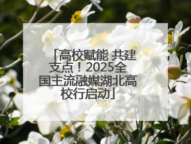 高校赋能 共建支点！2025全国主流融媒湖北高校行启动