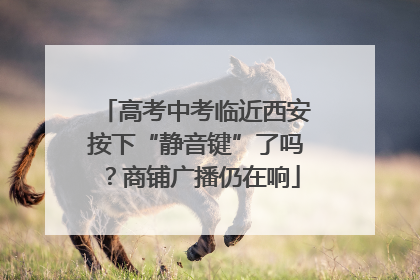 高考中考临近西安按下“静音键”了吗？商铺广播仍在响