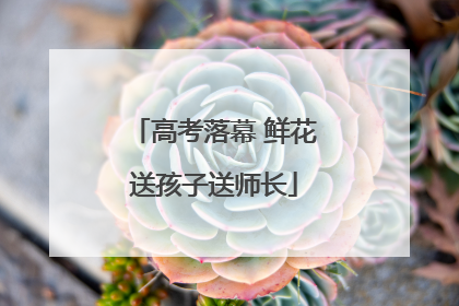 高考落幕 鲜花送孩子送师长