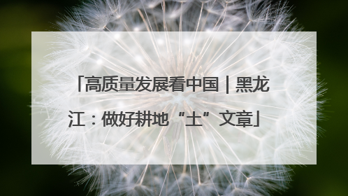 高质量发展看中国｜黑龙江：做好耕地“土”文章