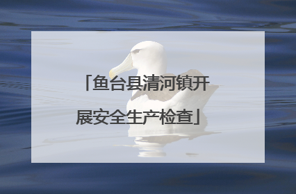 鱼台县清河镇开展安全生产检查