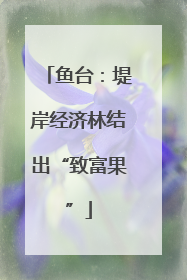 鱼台：堤岸经济林结出“致富果”