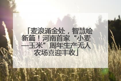 麦浪涌金处，智慧绘新篇！河南首家“小麦—玉米”周年生产无人农场喜迎丰收