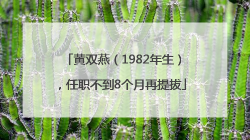 黄双燕（1982年生），任职不到8个月再提拔