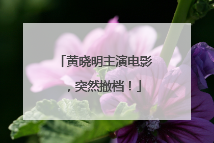 黄晓明主演电影，突然撤档！