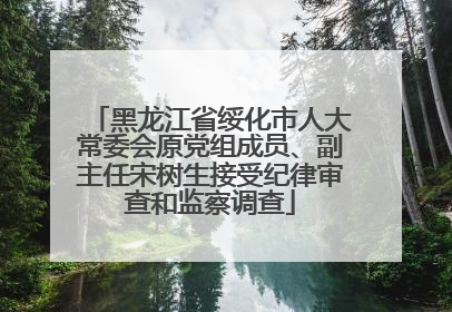 黑龙江省绥化市人大常委会原党组成员、副主任宋树生接受纪律审查和监察调查