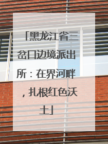 黑龙江省三岔口边境派出所：在界河畔，扎根红色沃土