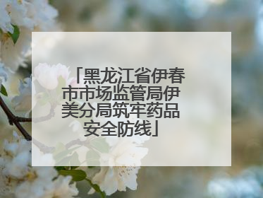 黑龙江省伊春市市场监管局伊美分局筑牢药品安全防线