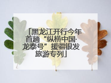 黑龙江开行今年首趟“纵横中国·龙泰号”援疆银发旅游专列