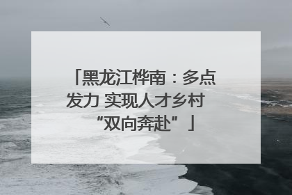 黑龙江桦南：多点发力 实现人才乡村“双向奔赴”
