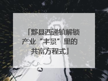 黟县西递镇解锁产业“丰景”里的共富方程式