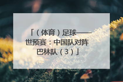 （体育）足球——世预赛：中国队对阵巴林队（3）