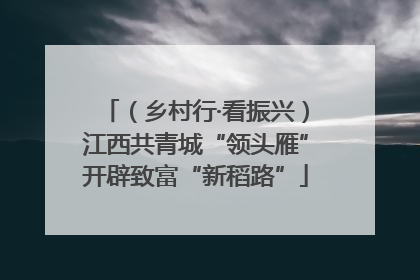 （乡村行·看振兴）江西共青城“领头雁”开辟致富“新稻路”