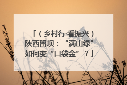 （乡村行·看振兴）陕西留坝：“满山绿”如何变“口袋金”？