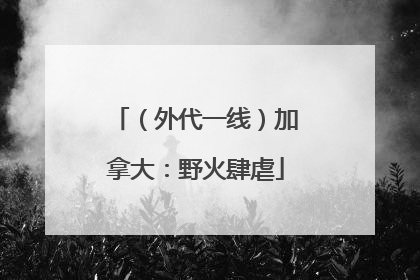 （外代一线）加拿大：野火肆虐