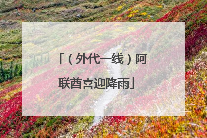 （外代一线）阿联酋喜迎降雨