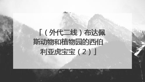 （外代二线）布达佩斯动物和植物园的西伯利亚虎宝宝（2）