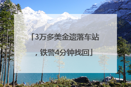 3万多美金遗落车站，铁警4分钟找回