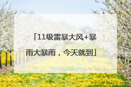11级雷暴大风+暴雨大暴雨，今天就到