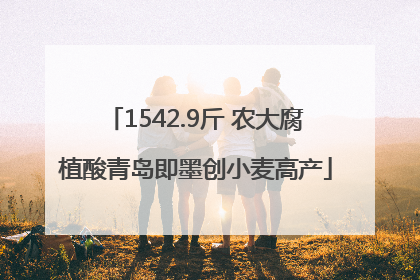 1542.9斤 农大腐植酸青岛即墨创小麦高产