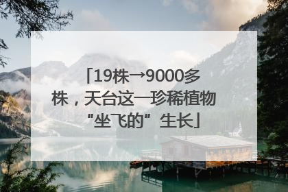 19株→9000多株，天台这一珍稀植物“坐飞的”生长