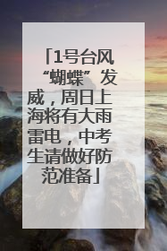 1号台风“蝴蝶”发威，周日上海将有大雨雷电，中考生请做好防范准备