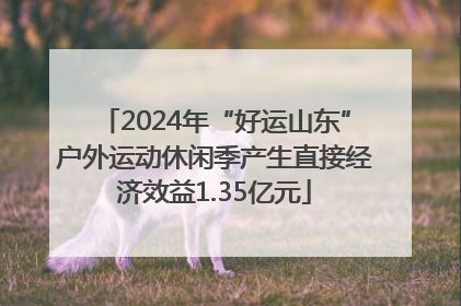 2024年“好运山东”户外运动休闲季产生直接经济效益1.35亿元